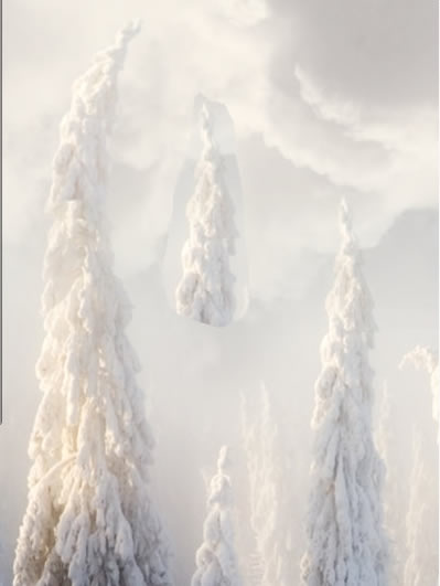 Christmas night, new year card, flying Santa Claus, fairy christmas landscape, snow scene, christmas trees, iceberg, night stars, moon light, santa's deers, christmas sleigh.